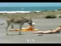 سه مرد همجنسگرا سرگرم کننده بر روی یک مبل سفید دانلود فیلم سکسی کانال تلگرام